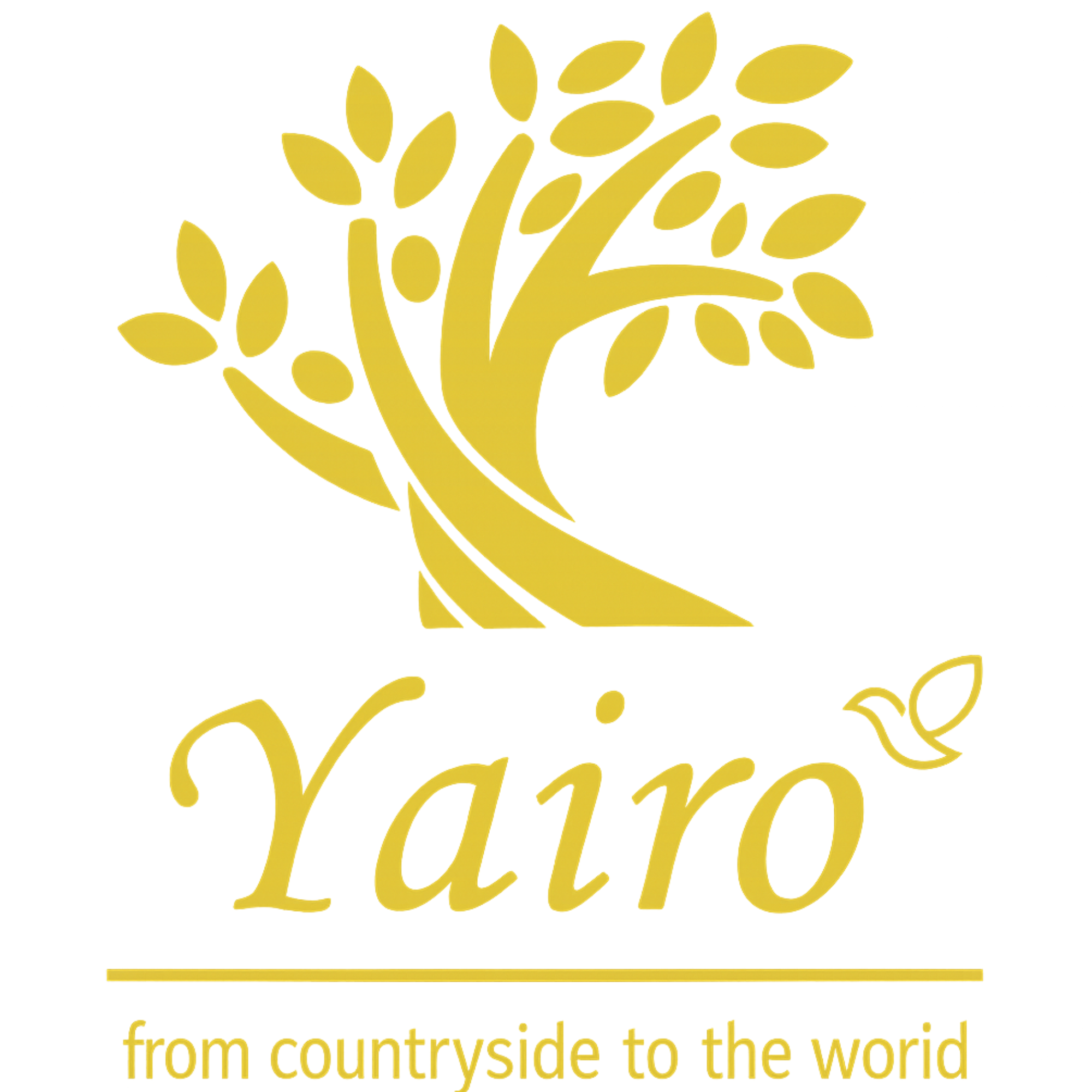 Yairo